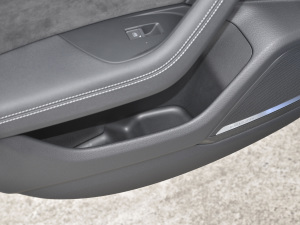 2021RS 6 4.0T Avant  g