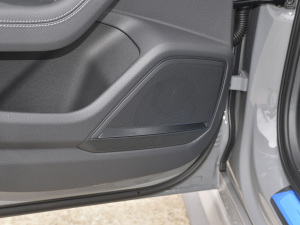 2021RS 6 4.0T Avant  g