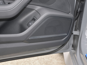 2021RS 6 4.0T Avant  g