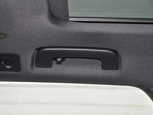 2021RS 6 4.0T Avant  g