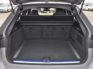 2021RS 6 4.0T Avant  g