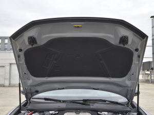 2021款RS 6 4.0T Avant  其它