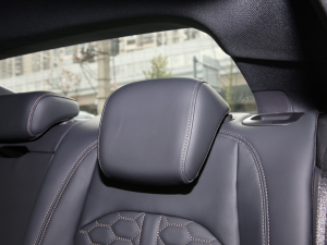 2022RS 5 2.9T Sportback  g