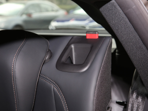 2022RS 5 2.9T Sportback  g