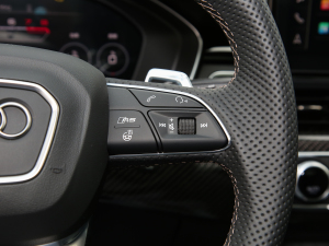 2022RS 5 2.9T Sportback  п؅^(q)