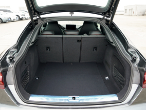 2022RS 5 2.9T Sportback װ g