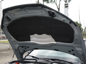 2022RS 5 2.9T Coupe װ lәCœ