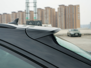 2022RS 6 4.0T Avant ^