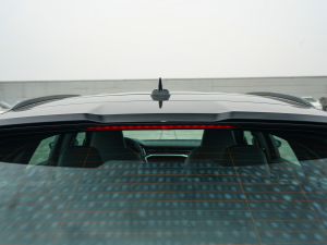 2022RS 6 4.0T Avant ^