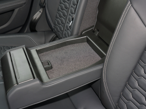 2022RS 6 4.0T Avant g