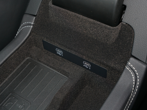 2022RS 6 4.0T Avant g