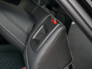 2022RS 6 4.0T Avant g