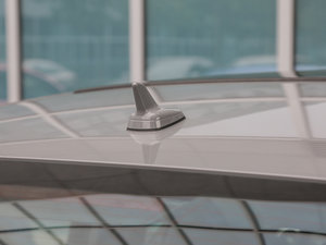 2017Limousine (x)(ji)^