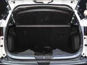 2019EcoBoost 145 CVTIPlus V g