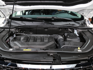 2019EcoBoost 145 CVTI(lng)Plus V 