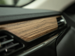 2019EcoBoost 145 CVTIPlus V g