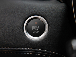 2019EcoBoost 145 CVTIPlus V п؅^