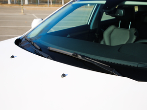 2019EcoBoost 145 CVTIPlus V ˢ