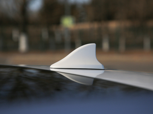 2019EcoBoost 145 CVTI(lng)Plus V (x)(ji)^