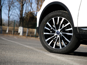 2019EcoBoost 145 CVTI(lng)Plus V (x)(ji)^