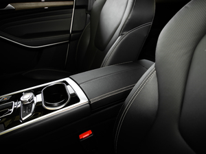 2019EcoBoost 145 CVTIPlus V 