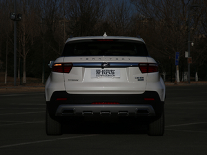 2019EcoBoost 145 CVTI(lng)Plus (gu)V 