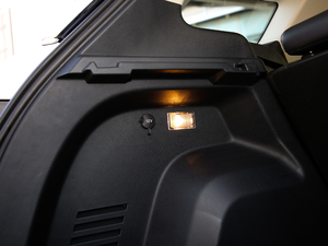 2019EcoBoost 145 CVTI(lng)Plus (gu)V 