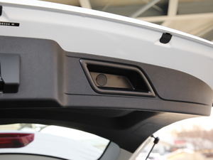 2019EcoBoost 145 CVTI(lng)Plus (gu)V 