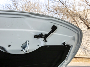 2019EcoBoost 145 CVTIPlus V 