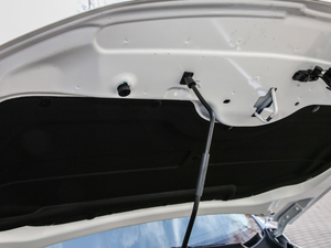 2019EcoBoost 145 CVTIPlus V 