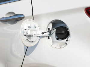 2019EcoBoost 145 CVTI V w