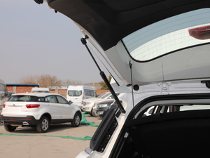 2019EcoBoost 145 CVTI(lng) (gu)V g