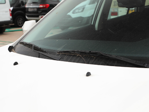 2019EcoBoost 145 CVTI V ˢ