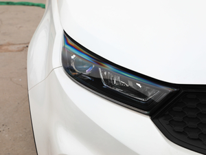 2019EcoBoost 145 CVTI(lng) V (x)(ji)^