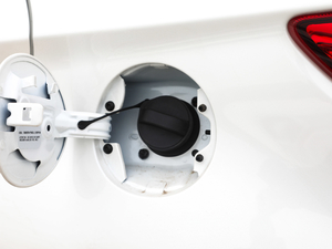 2019EcoBoost 145 CVTI V (ji)^