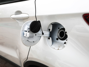 2019EcoBoost 145 CVTI V (ji)^