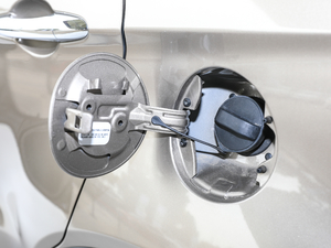 2019EcoBoost 145 CVTI(lng)Plus (gu)VI w