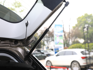 2019EcoBoost 145 CVTIPlus VI g