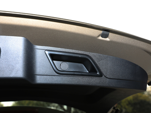 2019EcoBoost 145 CVTIPlus VI g