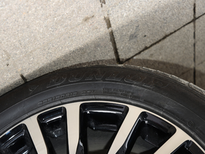 2019EcoBoost 145 CVTIPlus VI ݆̥Ʒ