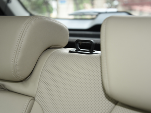 2019EcoBoost 145 CVTI(lng)Plus (gu)VI g