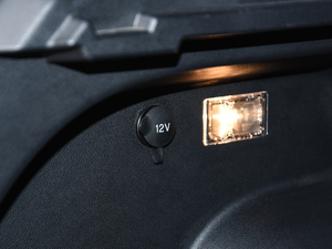 2019EcoBoost 145 CVTI(lng)Plus (gu)VI g