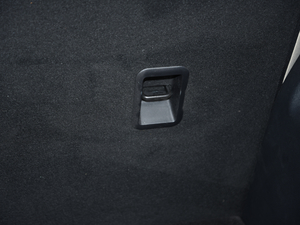 2019EcoBoost 145 CVTI(lng)Plus (gu)VI g