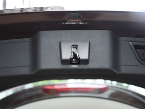 2019EcoBoost 145 CVTI(lng)Plus (gu)VI g