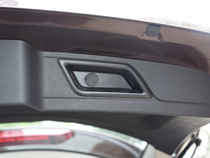 2019EcoBoost 145 CVTI(lng)Plus (gu)VI g