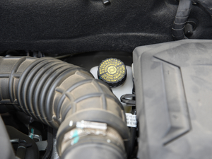 2019EcoBoost 145 CVTIPlus VI 