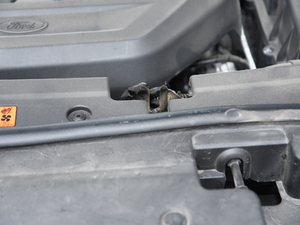 2019EcoBoost 145 CVTI(lng)Plus (gu)VI 