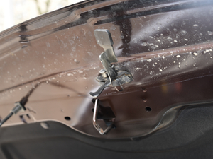 2019EcoBoost 145 CVTI(lng)Plus (gu)VI 