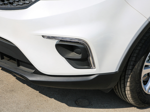 2019EcoBoost 145 քӾI V ^