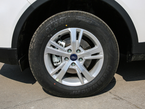 2019EcoBoost 145 քӾI(lng) V ݆Ȧ